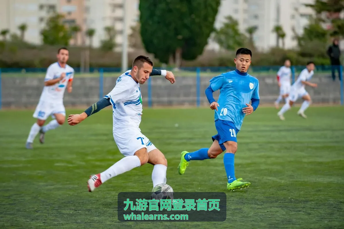 九游官网登录首页相关说明：世界杯专用足球珍藏版：从赛场科技到收藏价值的完整解读
