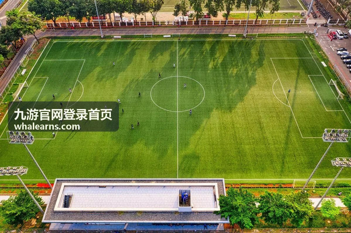 九游官网登录首页账号安全验证流程示意