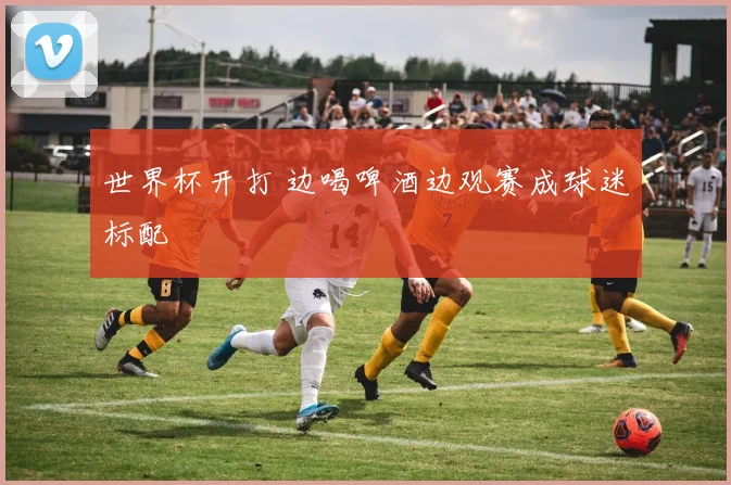 世界杯开打 边喝啤酒边观赛成球迷标配