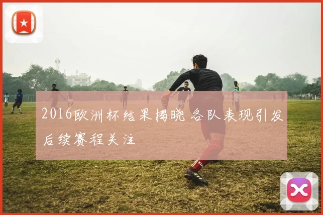 2016欧洲杯结果揭晓 各队表现引发后续赛程关注