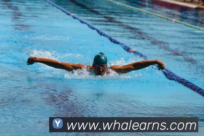 西班牙王者归来天下足球完整回顾欧洲杯晋级前景更受关注